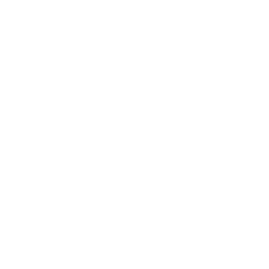 Evolution Gaming logo.